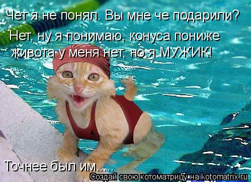 Чет я не понял. Вы мне че подарили? Нет, ну я понимаю, конуса пониже живота у меня нет, но я МУЖИК! Т... Котоматрица: Чет я не понял. Вы мне че подарили? Нет, ну я понимаю, конуса пониже живота у меня нет, но я МУЖИК! Точнее был им.....