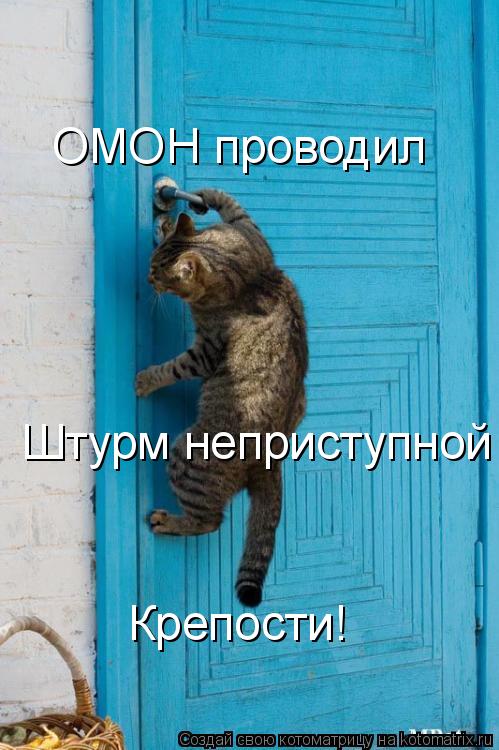 ОМОН проводил Штурм неприступной Крепости!... Котоматрица: ОМОН проводил Штурм неприступной Крепости!