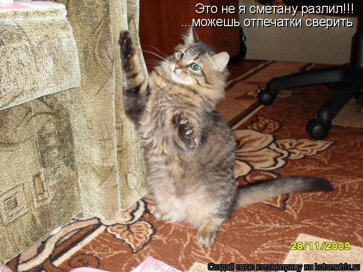 Это не я сметану разлил!!! ...можешь отпечатки сверить... Котоматрица: Это не я сметану разлил!!! ...можешь отпечатки сверить