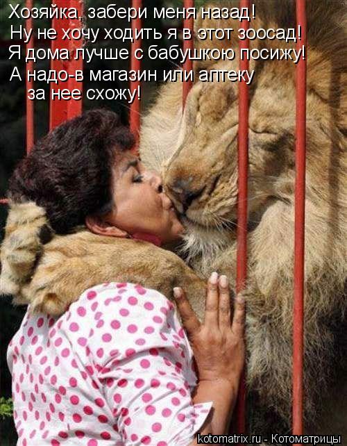 Хозяйка, забери меня назад! Ну не хочу ходить я в этот зоосад! Я дома лучше с бабушкою посижу! А надо... Котоматрица: Хозяйка, забери меня назад! Ну не хочу ходить я в этот зоосад! Я дома лучше с бабушкою посижу! А надо-в магазин или аптеку за нее схожу!