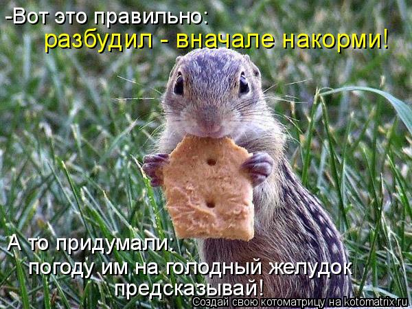 -Вот это правильно: разбудил - вначале накорми! А то придумали: погоду им на голодный желудок предск... Котоматрица: -Вот это правильно: разбудил - вначале накорми! А то придумали: погоду им на голодный желудок предсказывай!