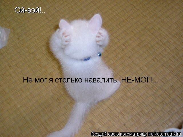Ой-вэй!.. Не мог я столько навалить. НЕ-МОГ!...... Котоматрица: Ой-вэй!.. Не мог я столько навалить. НЕ-МОГ!...