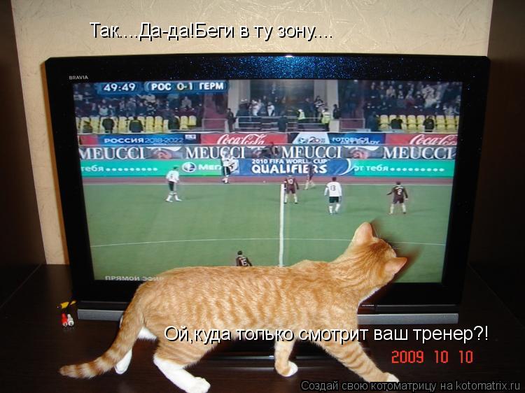 Так....Да-да!Беги в ту зону.... Ой,куда только смотрит ваш тренер?!... Котоматрица: Так....Да-да!Беги в ту зону.... Ой,куда только смотрит ваш тренер?!