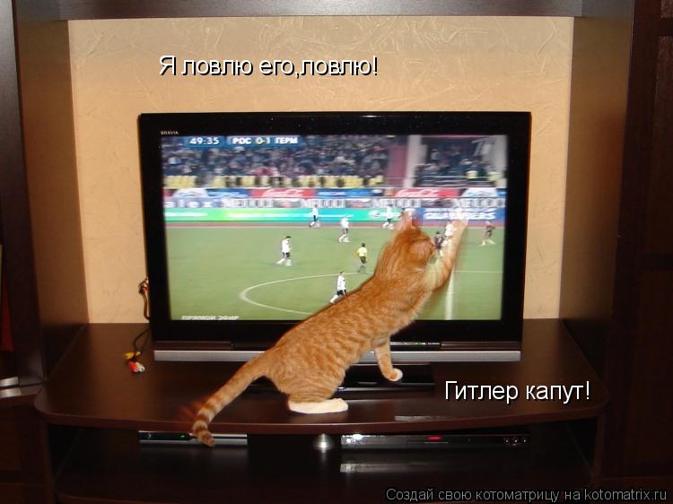Я ловлю его,ловлю! Гитлер капут!... Котоматрица: Я ловлю его,ловлю! Гитлер капут!