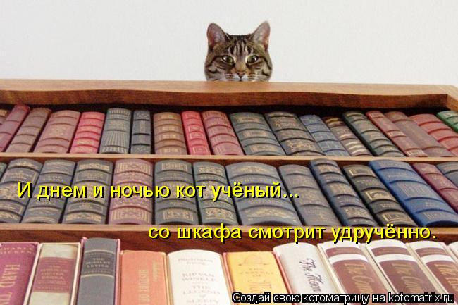 И днем и ночью кот учёный... со шкафа смотрит удручённо.... Котоматрица: И днем и ночью кот учёный... со шкафа смотрит удручённо.
