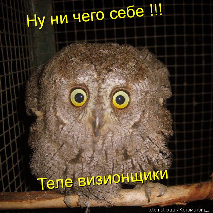 Ну ни чего себе !!! Теле визионщики... Котоматрица: Ну ни чего себе !!! Теле визионщики