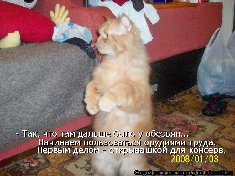 Начинаем пользоваться орудиями труда. Первым делом - открывашкой для консерв. - Так, что там дальше ... Котоматрица: Начинаем пользоваться орудиями труда. Первым делом - открывашкой для консерв. - Так, что там дальше было у обезьян...