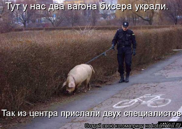 Тут у нас два вагона бисера украли. Так из центра прислали двух специалистов.... Котоматрица: Тут у нас два вагона бисера украли. Так из центра прислали двух специалистов.