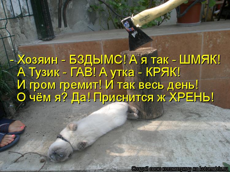 - Хозяин - БЗДЫМС! А я так - ШМЯК! А Тузик - ГАВ! А утка - КРЯК! И гром гремит! И так весь день! О чё... Котоматрица: - Хозяин - БЗДЫМС! А я так - ШМЯК! А Тузик - ГАВ! А утка - КРЯК! И гром гремит! И так весь день! О чём я? Да! Приснится ж ХРЕНЬ!
