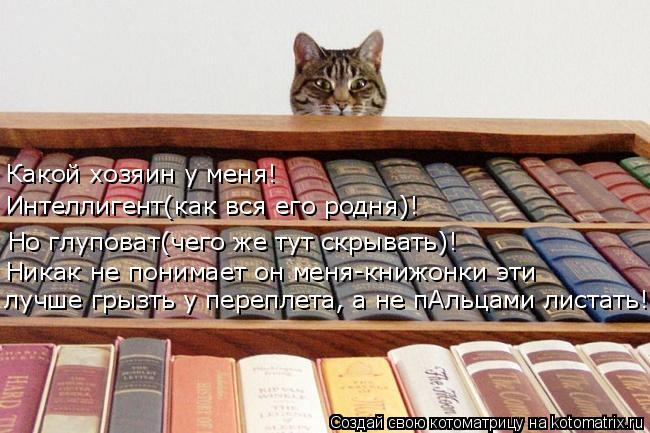 лучше грызть у переплета, а не пАльцами листать! Никак не понимает он меня-книжонки эти Но глуповат(ч... Котоматрица: лучше грызть у переплета, а не пАльцами листать! Никак не понимает он меня-книжонки эти Но глуповат(чего же тут скрывать)! Интеллигент(как вс