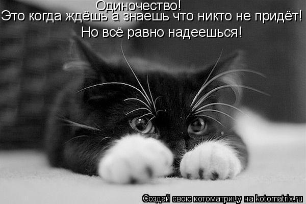 Одиночество! Это когда ждёшь а знаешь что никто не придёт! Но всё равно надеешься!... Котоматрица: Одиночество! Это когда ждёшь а знаешь что никто не придёт! Но всё равно надеешься!