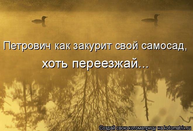 Петрович как закурит свой самосад, хоть переезжай...... Котоматрица: Петрович как закурит свой самосад, хоть переезжай...
