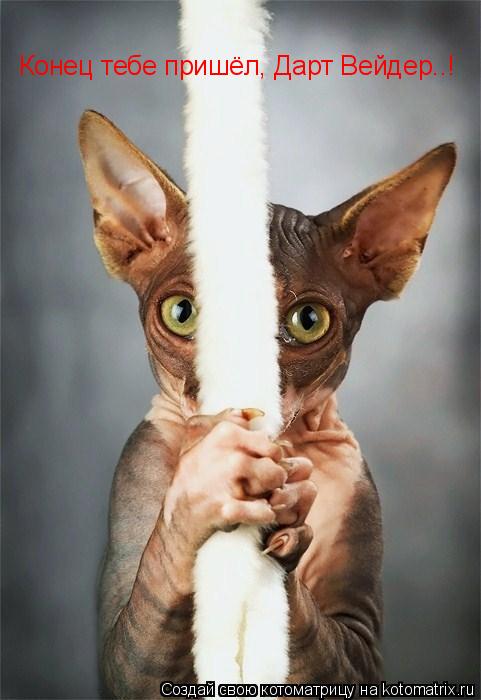 Конец тебе пришёл, Дарт Вейдер..!... Котоматрица: Конец тебе пришёл, Дарт Вейдер..!