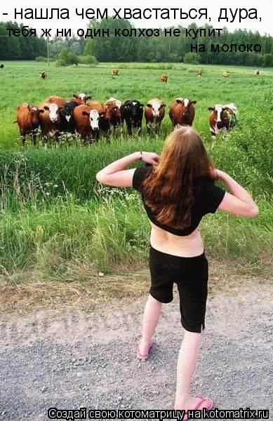 - нашла чем хвастаться, дура, тебя ж ни один колхоз не купит на молоко... Котоматрица: - нашла чем хвастаться, дура, тебя ж ни один колхоз не купит на молоко