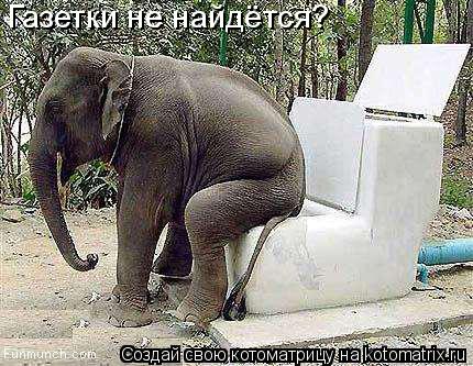 Газетки не найдётся?... Котоматрица: Газетки не найдётся?