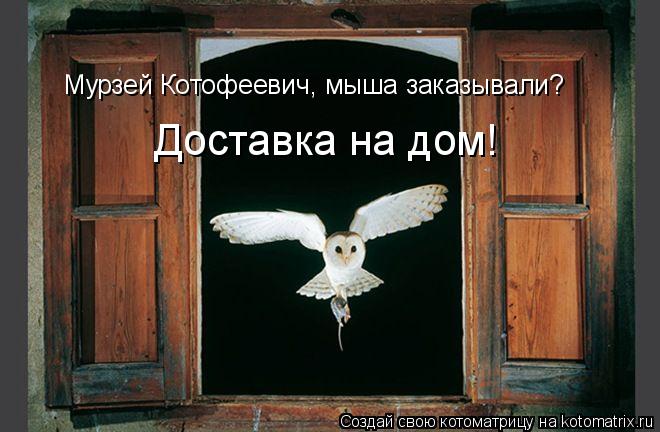Мурзей Котофеевич, мыша заказывали? Доставка на дом!... Котоматрица: Мурзей Котофеевич, мыша заказывали? Доставка на дом!