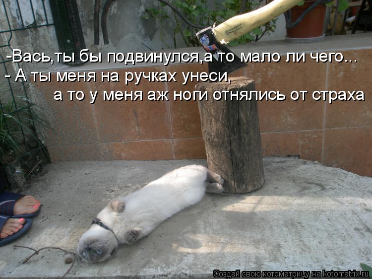 -Вась,ты бы подвинулся,а то мало ли чего... - А ты меня на ручках унеси, а то у меня аж ноги отнялись... Котоматрица: -Вась,ты бы подвинулся,а то мало ли чего... - А ты меня на ручках унеси, а то у меня аж ноги отнялись от страха