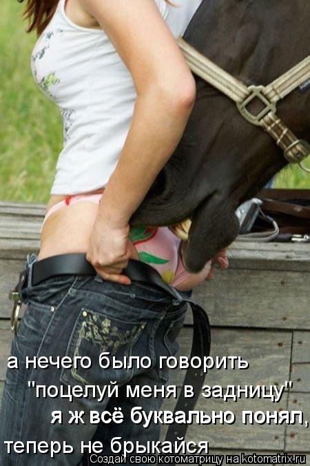 "поцелуй меня в задницу" теперь не брыкайся а нечего было говорить я ж всё буквально понял я ж всё б... Котоматрица: "поцелуй меня в задницу" теперь не брыкайся а нечего было говорить я ж всё буквально понял я ж всё буквально понял,
