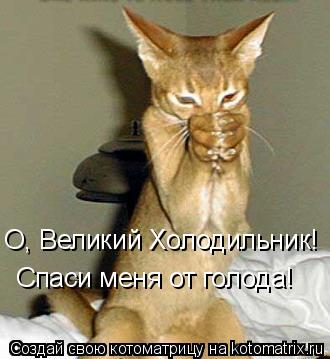 О, Великий Холодильник! Спаси меня от голода!... Котоматрица: О, Великий Холодильник! Спаси меня от голода!