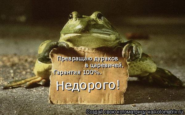 Превращаю дураков в царевичей. Гарантия 100%. Недорого!... Котоматрица: Превращаю дураков в царевичей. Гарантия 100%. Недорого!