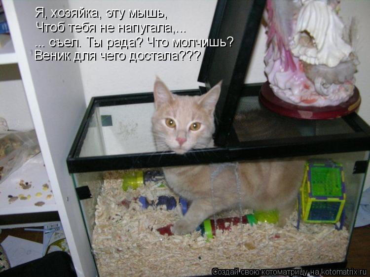 Я, хозяйка, эту мышь, ... съел. Ты рада? Что молчишь? Чтоб тебя не напугала,... Веник для чего достал... Котоматрица: Я, хозяйка, эту мышь, ... съел. Ты рада? Что молчишь? Чтоб тебя не напугала,... Веник для чего достала???