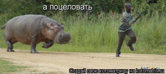 а поцеловать... Котоматрица: а поцеловать