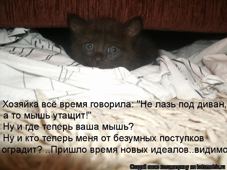 Хозяйка всё время говорила: "Не лазь под диван, а то мышь утащит!" Ну и где теперь ваша мышь? Ну и кт... Котоматрица: Хозяйка всё время говорила: "Не лазь под диван, а то мышь утащит!" Ну и где теперь ваша мышь? Ну и кто теперь меня от безумных поступков огради