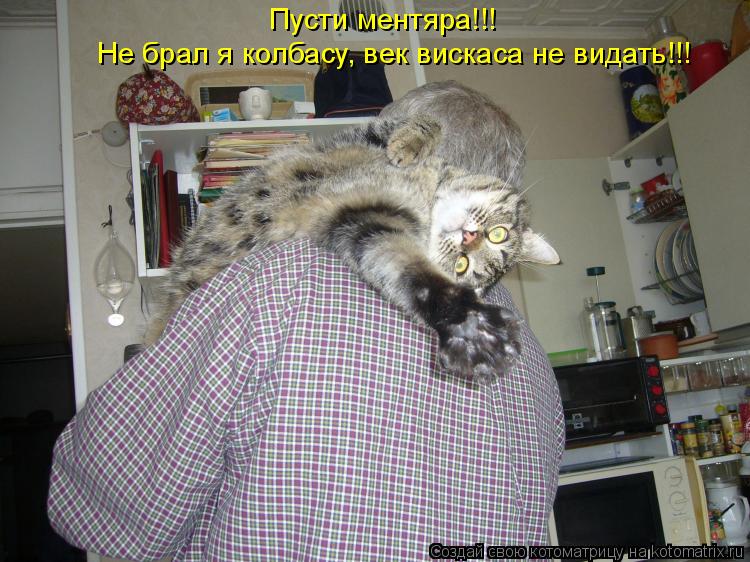 Пусти ментяра!!! Не брал я колбасу, век вискаса не видать!!!... Котоматрица: Пусти ментяра!!! Не брал я колбасу, век вискаса не видать!!!