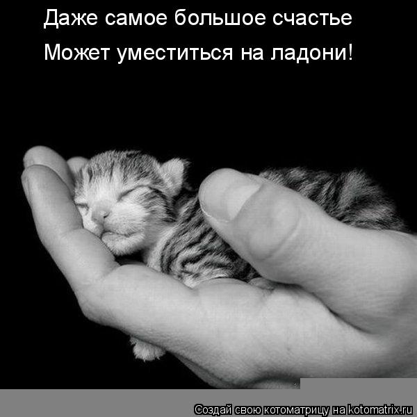 Даже самое большое счастье Может уместиться на ладони!... Котоматрица: Даже самое большое счастье Может уместиться на ладони!