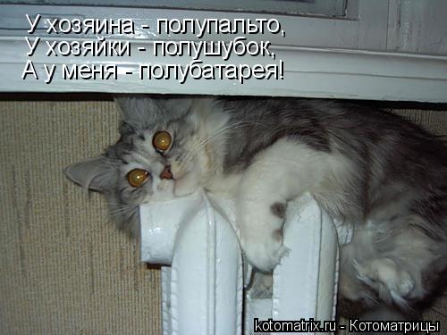 У хозяина - полупальто, У хозяйки - полушубок, А у меня - полубатарея!