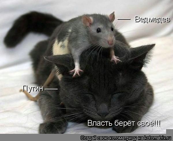 ___ Ведмедев ___ Путин Власть берёт своё!!!... Котоматрица: ___ Ведмедев ___ Путин Власть берёт своё!!!