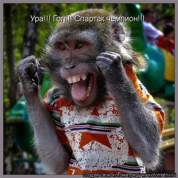 Ура!!! Гол!!! Спартак чемпион!!!... Котоматрица: Ура!!! Гол!!! Спартак чемпион!!!