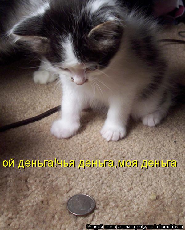 ой деньга!чья деньга,моя деньга... Котоматрица: ой деньга!чья деньга,моя деньга
