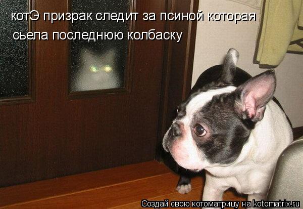 котЭ призрак следит за псиной которая сьела последнюю колбаску... Котоматрица: котЭ призрак следит за псиной которая сьела последнюю колбаску