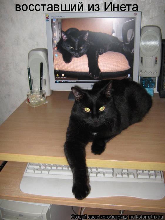 восставший из Инета... Котоматрица: восставший из Инета