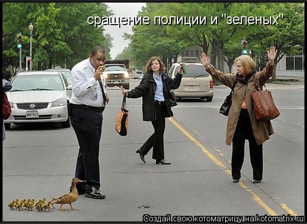 сращение полиции и "зеленых"... Котоматрица: сращение полиции и "зеленых"