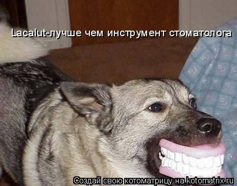 Lacalut-лучше чем инструмент стоматолога... Котоматрица: Lacalut-лучше чем инструмент стоматолога