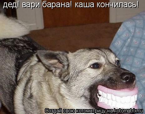 дед! вари барана! каша кончилась!... Котоматрица: дед! вари барана! каша кончилась!