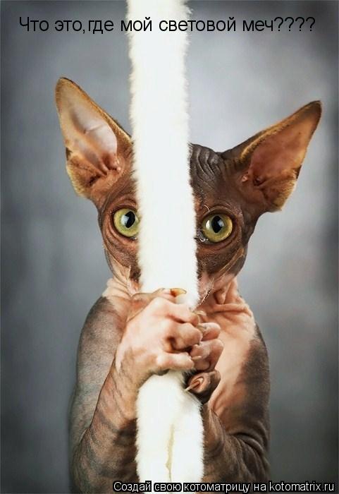 Что это,где мой световой меч????... Котоматрица: Что это,где мой световой меч????