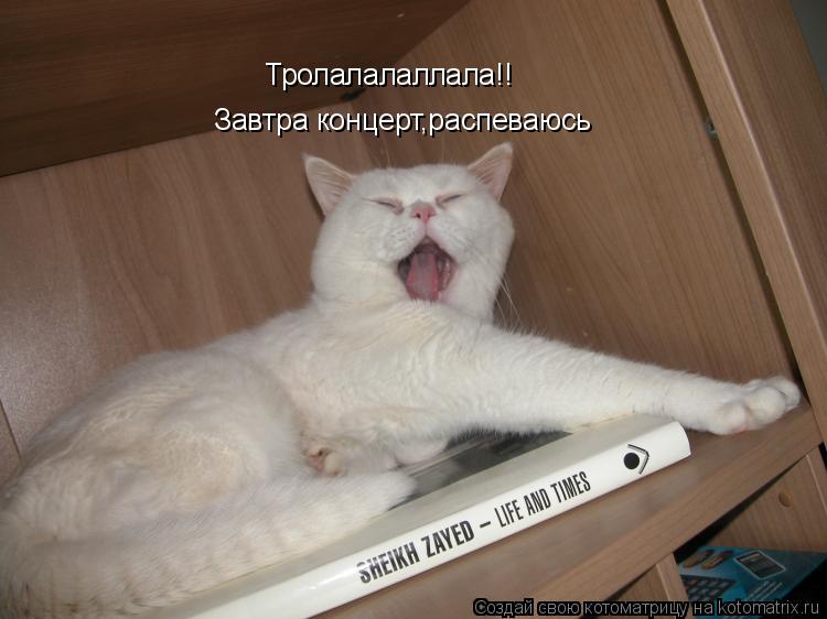 Тролалалаллала!! Завтра концерт,распеваюсь... Котоматрица: Тролалалаллала!! Завтра концерт,распеваюсь