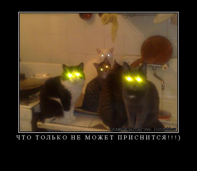 ЧТО ТОЛЬКО НЕ МОЖЕТ ПРИСНИТСЯ!!!) ... Котоматрица: ЧТО ТОЛЬКО НЕ МОЖЕТ ПРИСНИТСЯ!!!)