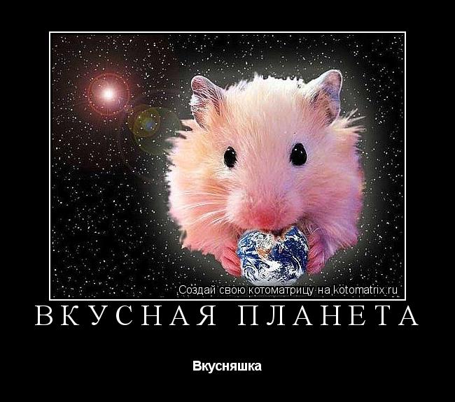 Вкусная планета Вкусняшка... Котоматрица: Вкусная планета Вкусняшка