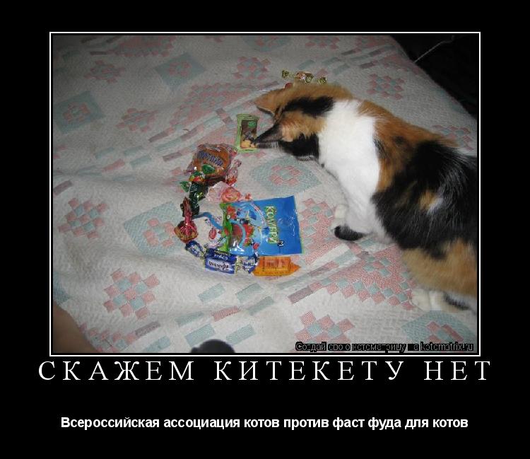 Скажем китекету нет Всероссийская ассоциация котов против фаст фуда для котов... Котоматрица: Скажем китекету нет Всероссийская ассоциация котов против фаст фуда для котов