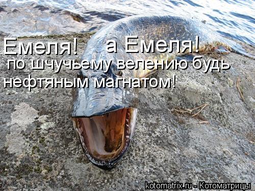 Емеля! a Емеля! по шчучьему велению будь нефтяным магнатом!... Котоматрица: Емеля! a Емеля! по шчучьему велению будь нефтяным магнатом!