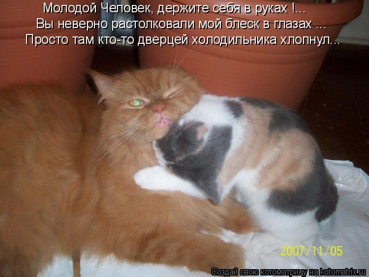 Молодой Человек, держите себя в руках !... Вы неверно растолковали мой блеск в глазах ... Просто там ... Котоматрица: Молодой Человек, держите себя в руках !... Вы неверно растолковали мой блеск в глазах ... Просто там кто-то дверцей холодильника хлопнул...