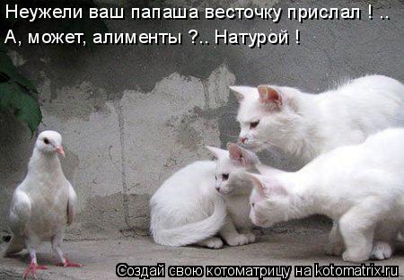Неужели ваш папаша весточку прислал ! .. А, может, алименты ?.. Натурой !... Котоматрица: Неужели ваш папаша весточку прислал ! .. А, может, алименты ?.. Натурой !