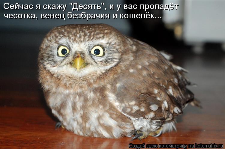 Сейчас я скажу "Десять", и у вас пропадёт чесотка, венец безбрачия и кошелёк...... Котоматрица: Сейчас я скажу "Десять", и у вас пропадёт чесотка, венец безбрачия и кошелёк...
