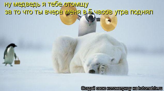 ну медведь я тебе отомщу за то что ты вчера меня в 5 часов утра поднял... Котоматрица: ну медведь я тебе отомщу за то что ты вчера меня в 5 часов утра поднял