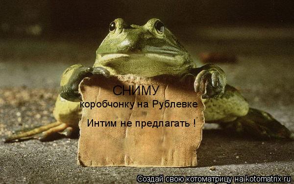 СНИМУ коробчонку на Рублевке Интим не предлагать !... Котоматрица: СНИМУ коробчонку на Рублевке Интим не предлагать !