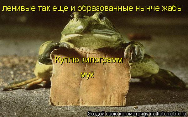 Куплю килограмм мух ленивые так еще и образованные нынче жабы... Котоматрица: Куплю килограмм мух ленивые так еще и образованные нынче жабы